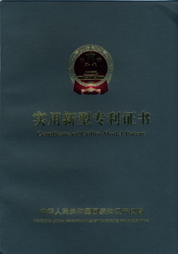 �����ƌ����շ�������(d��ng)��(j��ng)��(zh��ng)��̎��