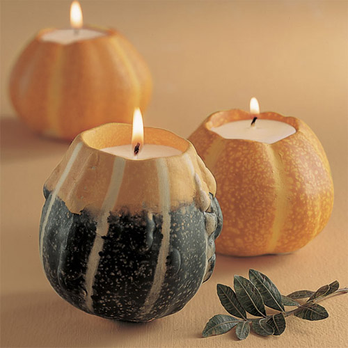 �fʥ��(ji��)�Ɍ�����ȱ�ٵ���Ʒ