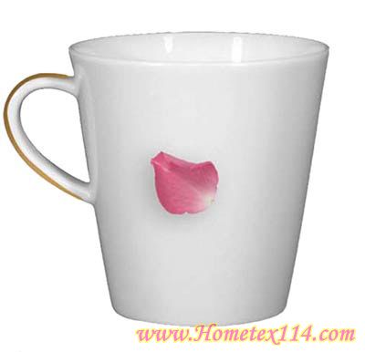 �����һ��t�����Ĳ;�������