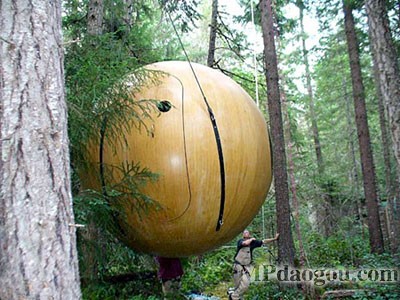 ������˼��(chu��ng)�����w�Ƅ�(d��ng)����