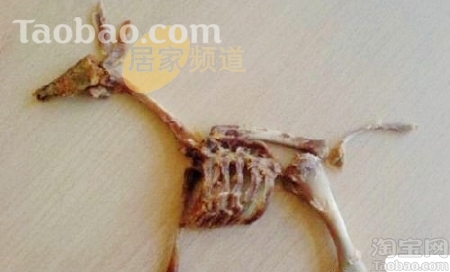 ����ϵ»���Ľ���