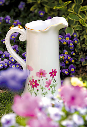 ���ɲ;ߣ��������������