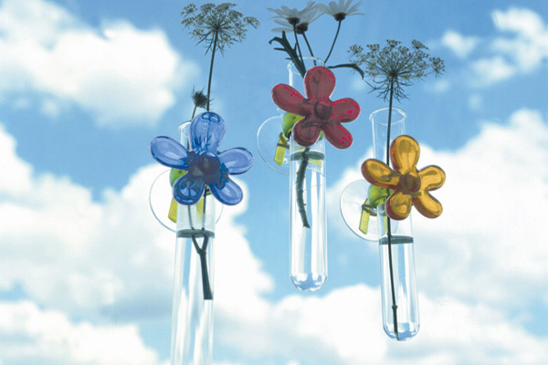 �n��(gu��)����(j��)��(chu��ng)��Ҿ�