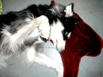 ��(chu��ng)���OӋ��Ѫ���^��ɢѪ��