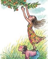 ʩ�����������΄�(chu��ng)�I(y��)�ɹ���