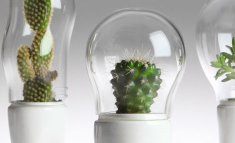 ����(j��)��Ц����ѝ�ӵ�����