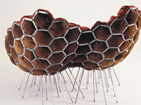 �����ɳ�l(f��)��đ��(l��i)����