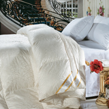 ���_�Ҽ� ���q �������