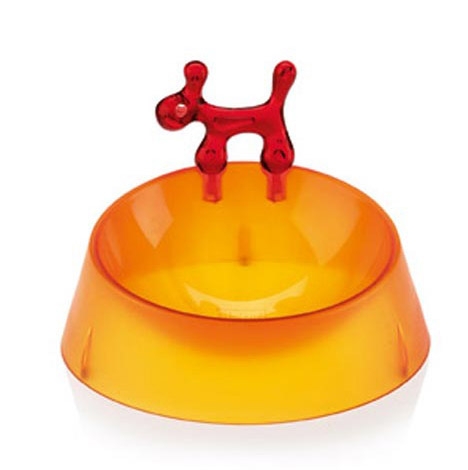 ������r�Ќ���Ҿ߼��������