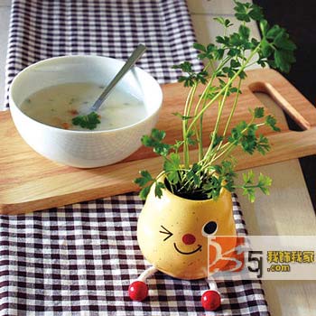 ��(chu��ng)��N��С�Ʒ�o������c�ϣ�һ��