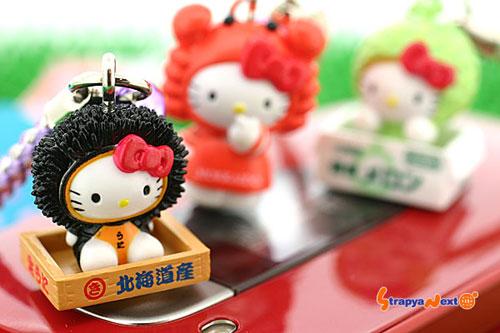 �ձ�HELLOKITTY��10�N׃���