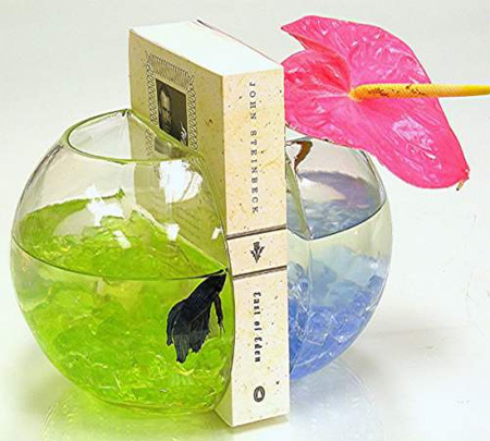 ����Ȥ��(chu��ng)����ܴ󼯺�