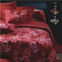 ˮ�� �t���龉