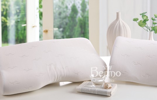 ���z�Ҽ���ʮһ������������