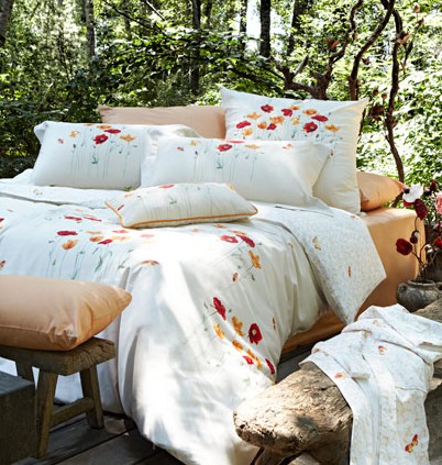 �������չ⡱��ҫ����֮��