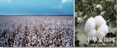 ���N�������N��һ�w�� ��(chu��ng)����Ҽ��wϵ