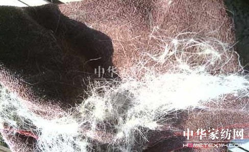 �t��ʿ�Ҽ��|(zh��)���T�������