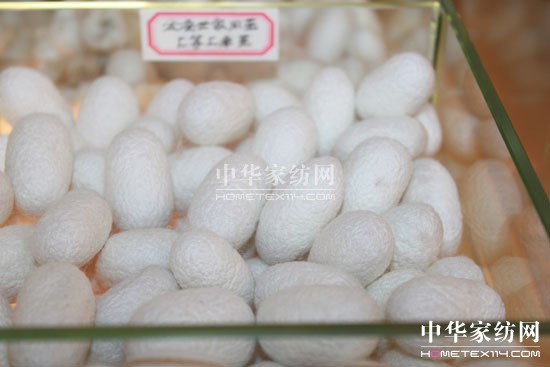 ���Q���Һ���ֱ�I��A���_�I(y��)