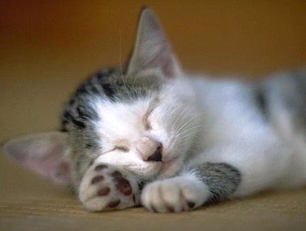 �H�������˯һС�r(sh��)����