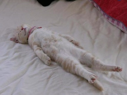 �H�������˯һС�r(sh��)����