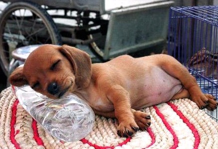 �H�������˯һС�r(sh��)����