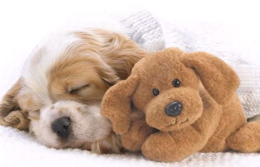 �H�������˯һС�r(sh��)����