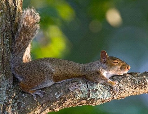 �H�������˯һС�r(sh��)����