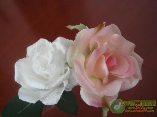 ������õ�廨