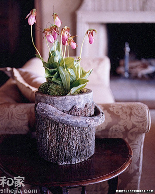 �ؚw��Ȼ��ľ���͵��b���(һ)