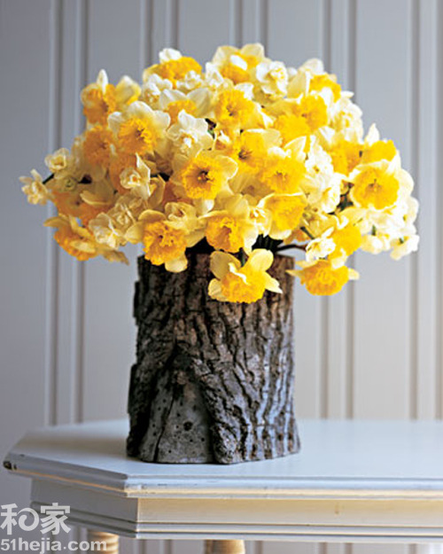 �ؚw��Ȼ��ľ���͵��b���(��)