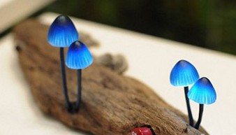 ��(chu��ng)��LED���䘶�ϵ�СĢ��