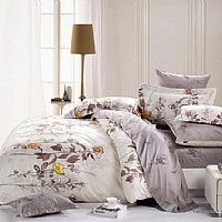 ����ӛ��