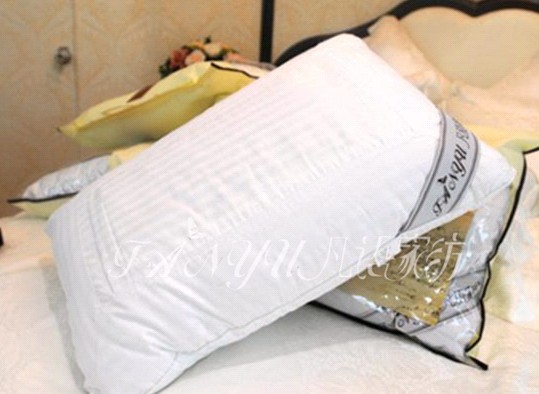 ���Z(y��)�Ҽ��������N(xi��o)�۵Č�(sh��)��(zh��n)���ɣ��ϣ�