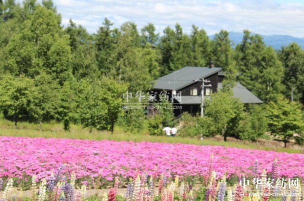 ����Ҽ���푡����ڲ��������ϱ����������������