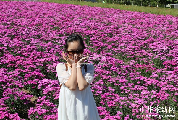 ����Ҽ���푡����ڲ��������ϱ����������������