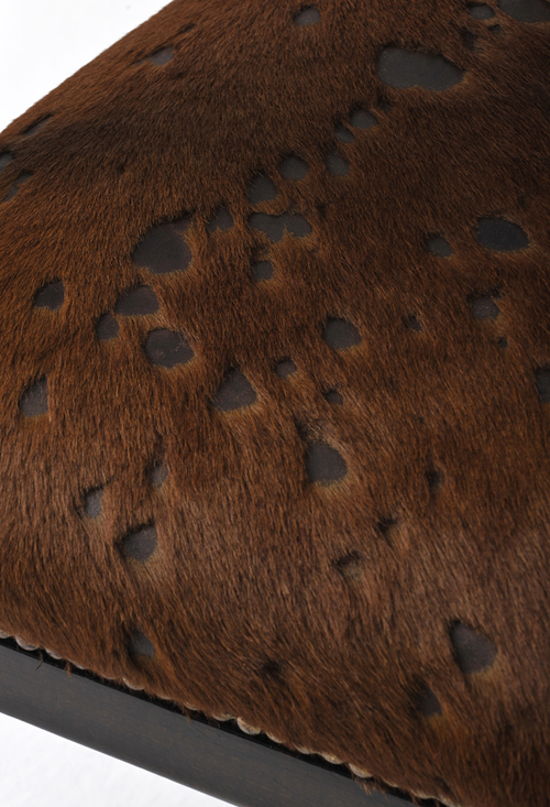 �����f��(y��n)�e���������������p