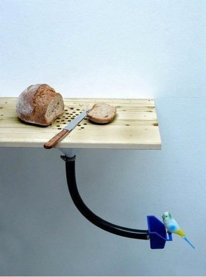 ��؛������֮���N���þߵĿƼ�