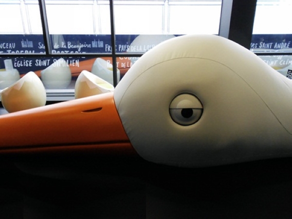 ��(d��)���B(ni��o)�����η���(gu��)�������B(ni��o)���ư�