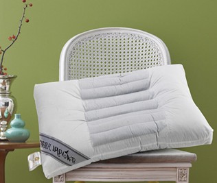 ���Z(y��)�Ҽ���������˯������(l��i)