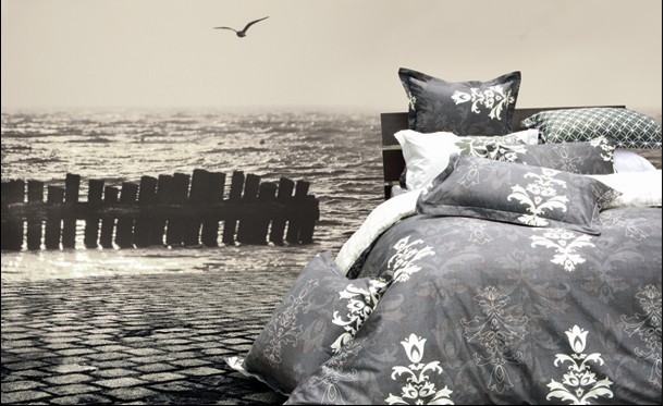 ����������ȫ�������l(f��)չ����