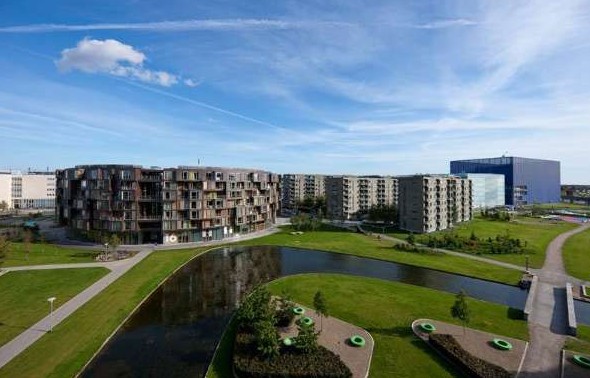 ����W(xu��)�����`�Ё����Ї�(gu��)����(��)