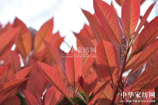 ���z������էů�������C(j��)