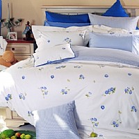 �S���l(xi��ng)��