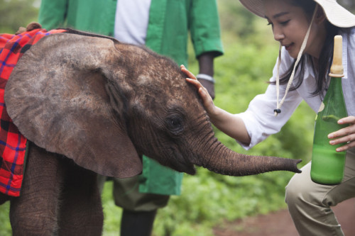 ���������"׃��"�����h�����J(r��n)�B(y��ng)����