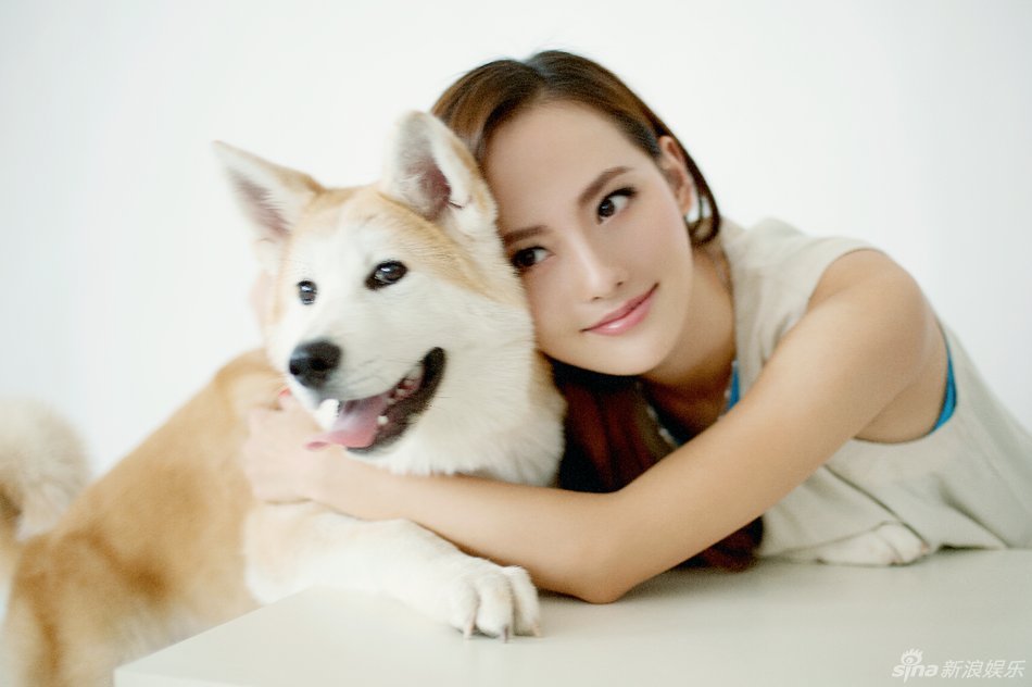 �������c�����H�܌���鱣�o(h��)�������