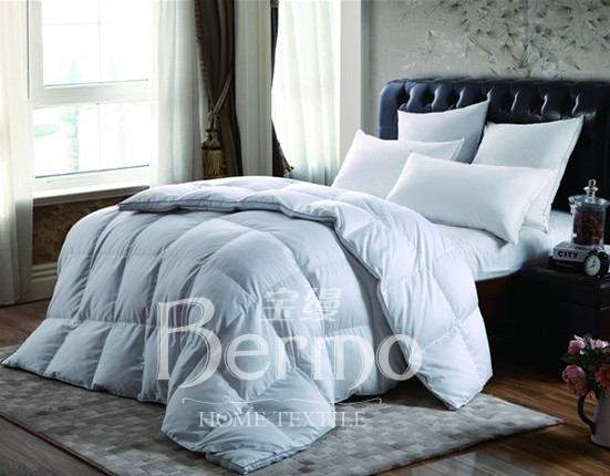 ���z�Ҽ�����¶���㡱��������