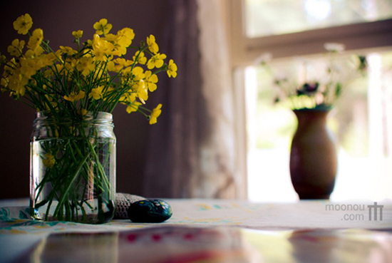 ��M���cζ����(f��)�Ŝ�ů�ļ�