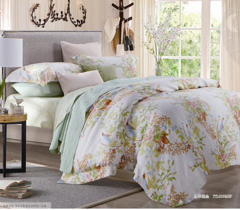 ҹ�������w���������