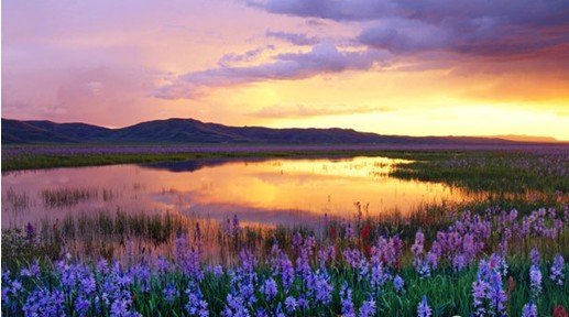 �W�ɼҼ����c����s����������