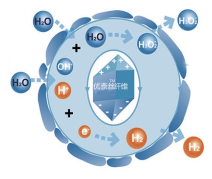 �{(l��n)Ʒ�Ƽ���Ů�ԼҼ������o(h��)����